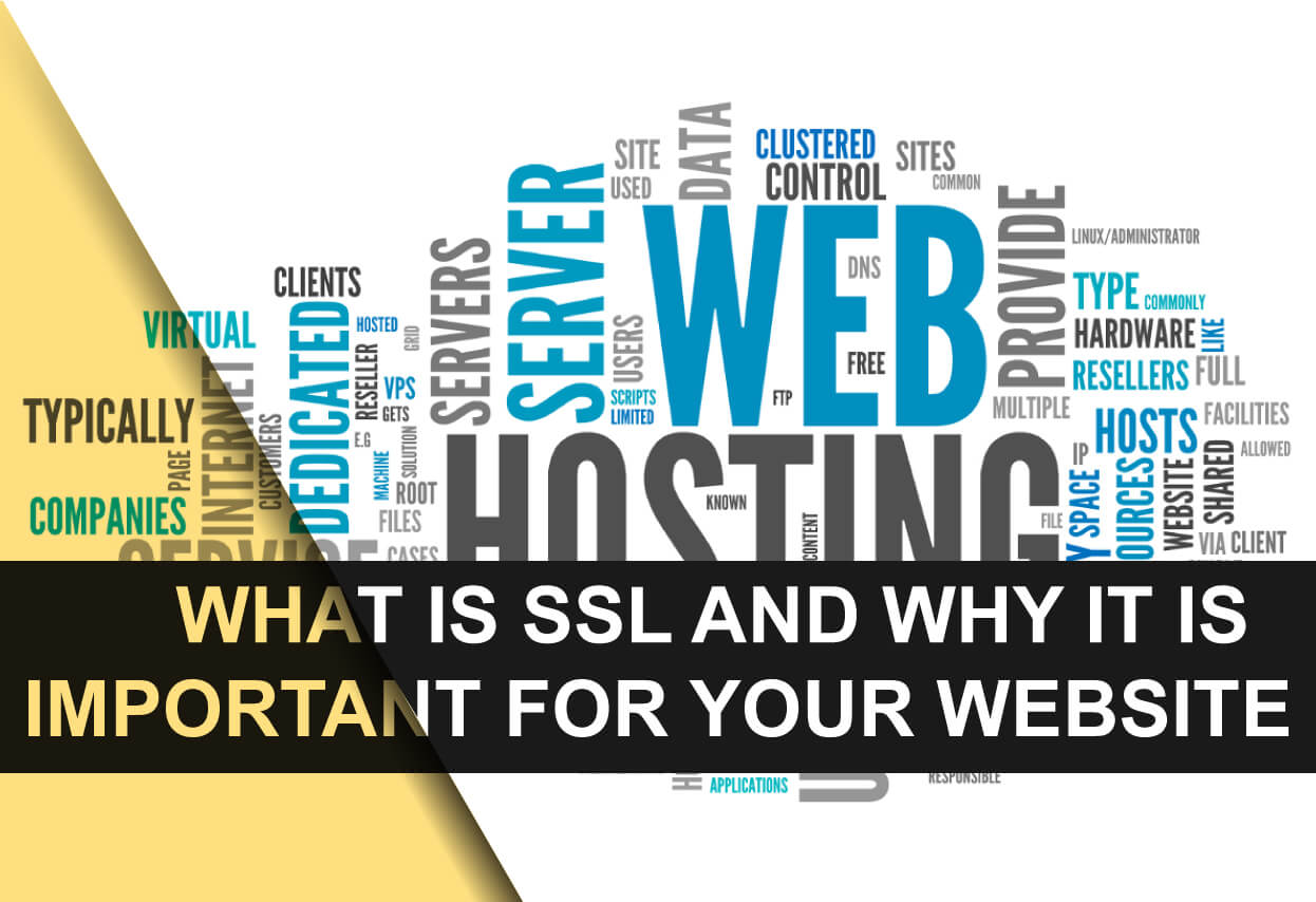What is an SSL Certificate and why is it Important For Your Website